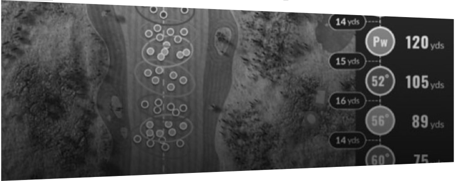 Copie de l'écran d'étalonnage des clubs